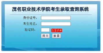 学考录取揭晓 今日多所院校公布结果，如何查询计算机信息技术专业？